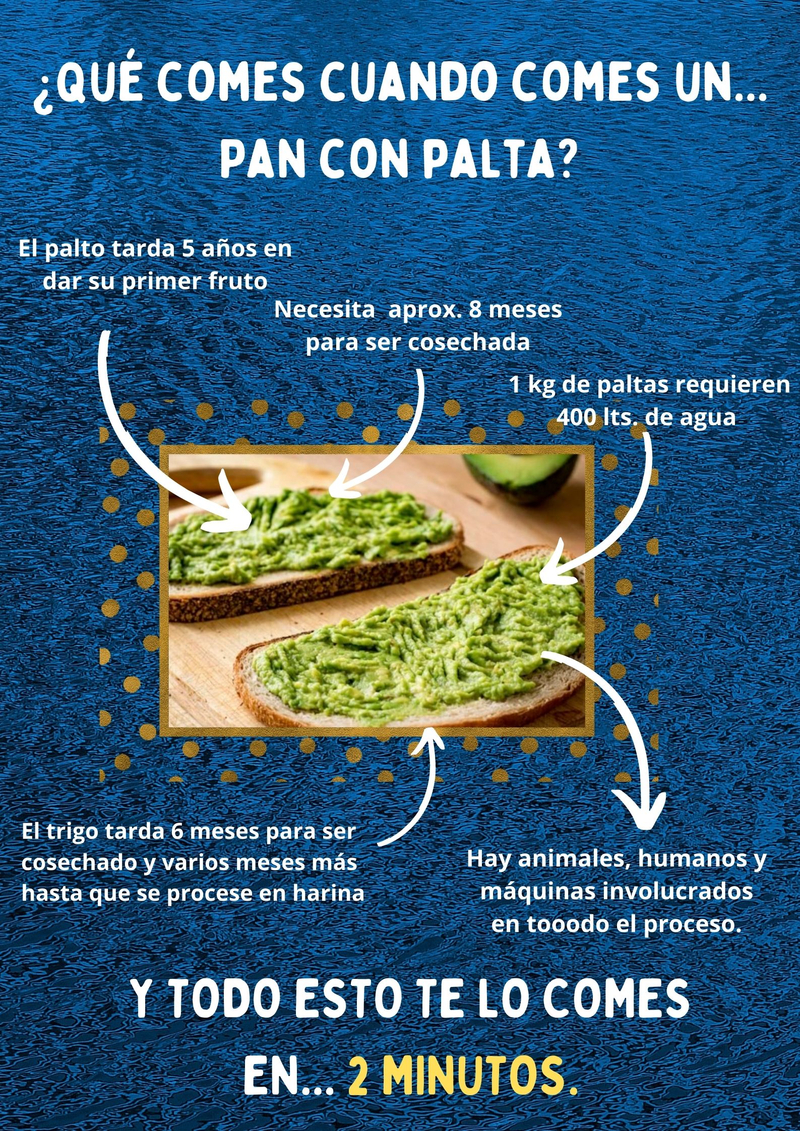 ¡Qué comes cuando comes un.. (1)