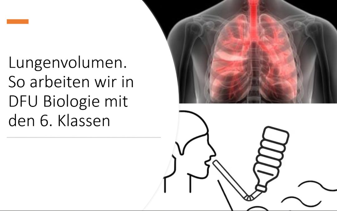 Lungenvolumen. So arbeiten wir in DFU Biologie mit den 6. Klassen