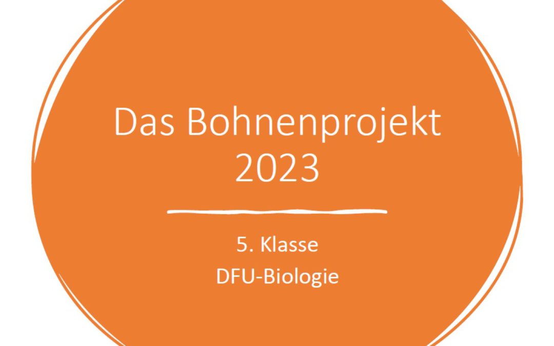 Das Bohnenprojekt