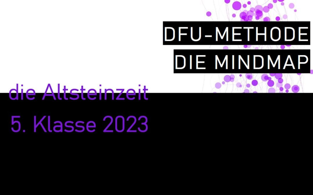 DFU Geschichte in der Klasse 5